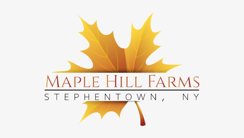 Thanksgiving Background Png, transparent png download