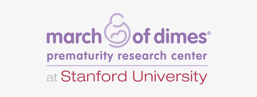March Of Dimes - March Of Dimes Signature Chefs Auction 2018, transparent png download