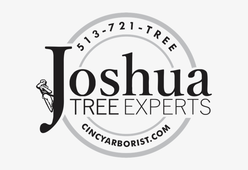 Joshua Tree Experts Joshua Tree Experts - Joshua Tree Experts, transparent png download