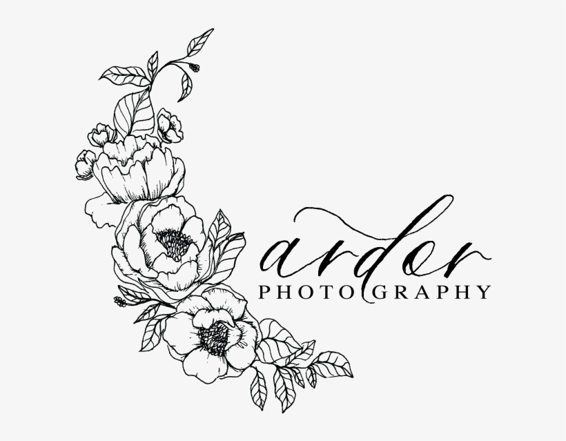 Ardor Photo - Blog, transparent png download