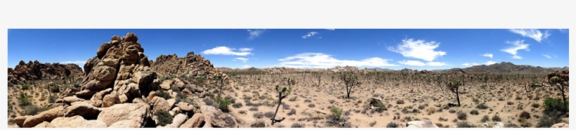 Joshua Tree National Park On Flowvella - Joshua Tree Park, transparent png download