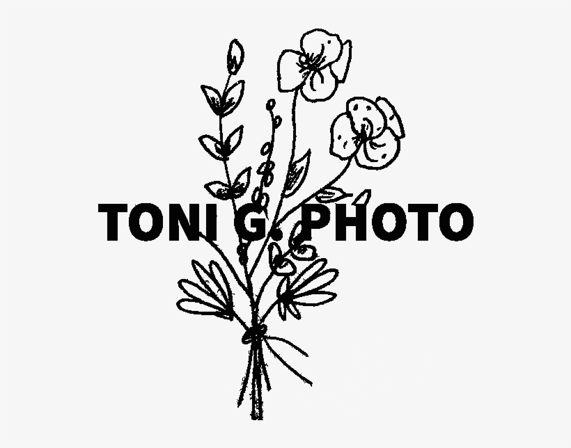 Adventurous Desert Engagement In Joshua Tree National, transparent png download