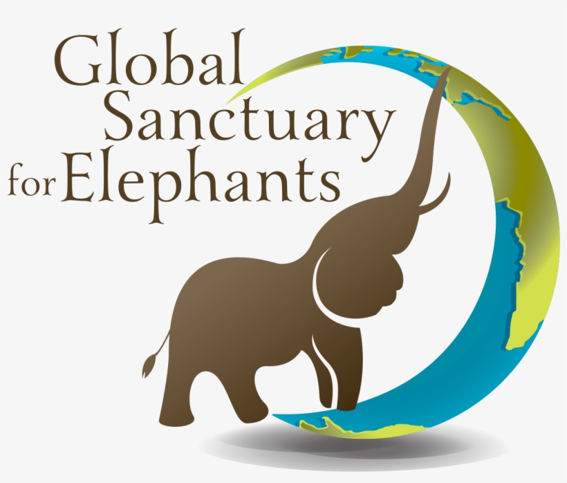Global Sanctuary For Elephants Logo - Elephant Sanctuary Logo, transparent png download