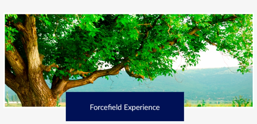 » Forcefield Experience - Да Благословит Тебя Бог, transparent png download