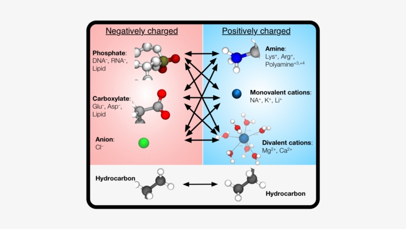 Non-bonded Fix Parameters For The Charmm And Amber - Md Simulation Force Field, transparent png download