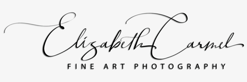 Click To Call - The Carmel Gallery In, transparent png download