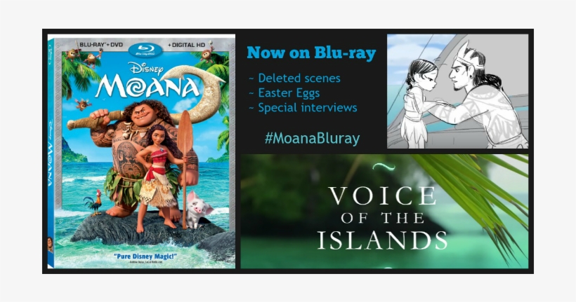 Moana On Bluray - Walt Disney Moana Blu-ray Dvd Combo Set, transparent png download