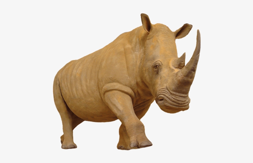 Rhinoceros Png Photo - Elephant, transparent png download