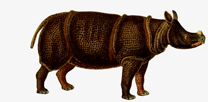 This Free Icons Png Design Of Rhinoceros 4, transparent png download