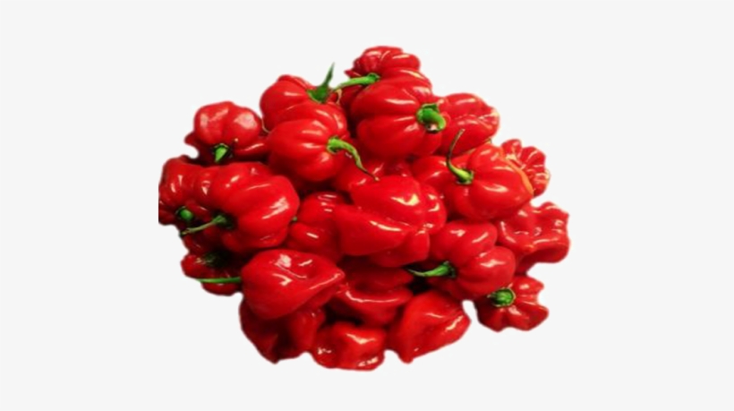 Habanero Chili, transparent png download