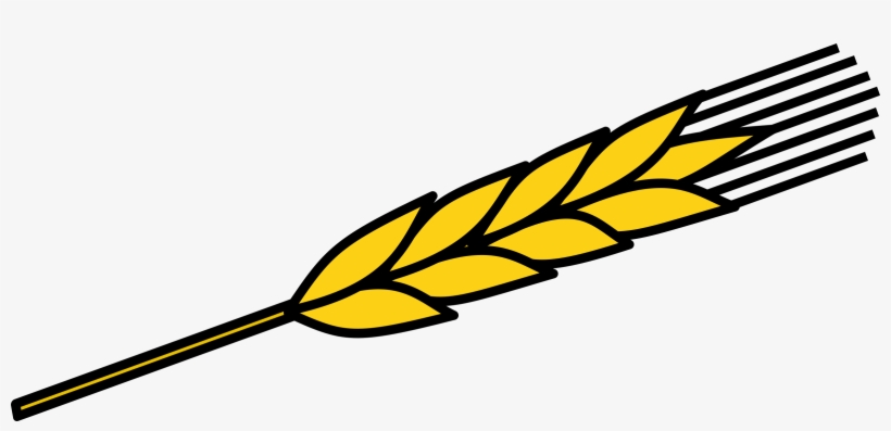 This Free Icons Png Design Of Ear Of Corn 2, transparent png download