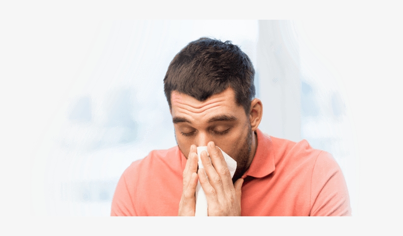 Sudafed® Blocked Nose Spray Gets To Work In Minutes - Allergic Rhinitis, transparent png download