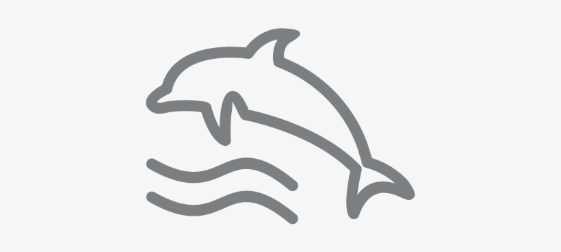 Lessons From Dolphins, transparent png download