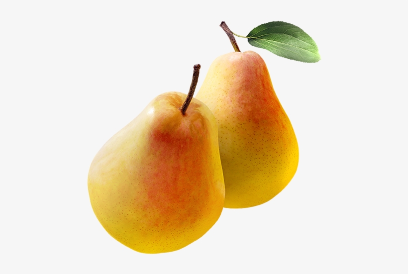 Come And Visit Peters Orchards In The Fall For The - Clapp's Favorite Pear, transparent png download