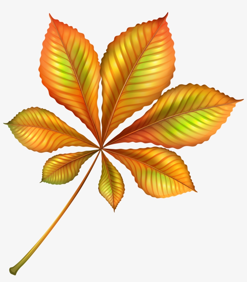 Orange Leaves Clipart, transparent png download