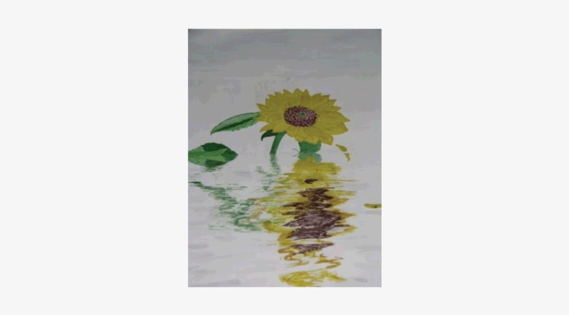 Sun-flower Reflection - Gerbera, transparent png download