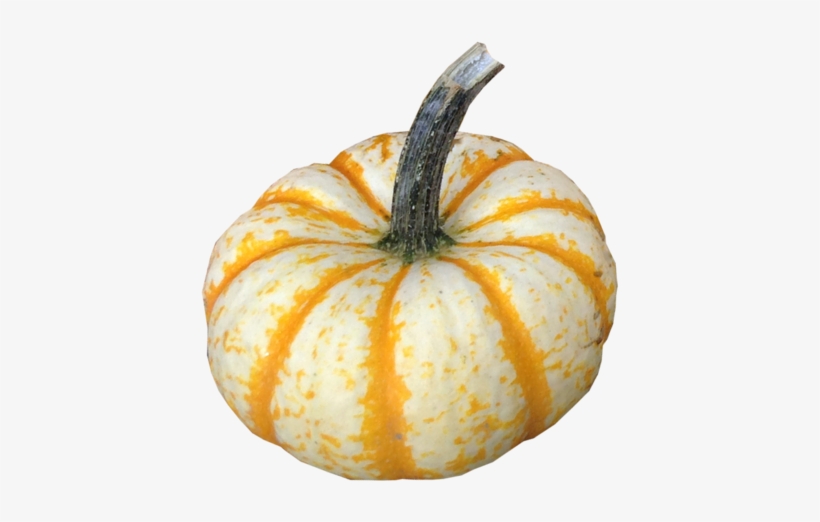 Product, transparent png download