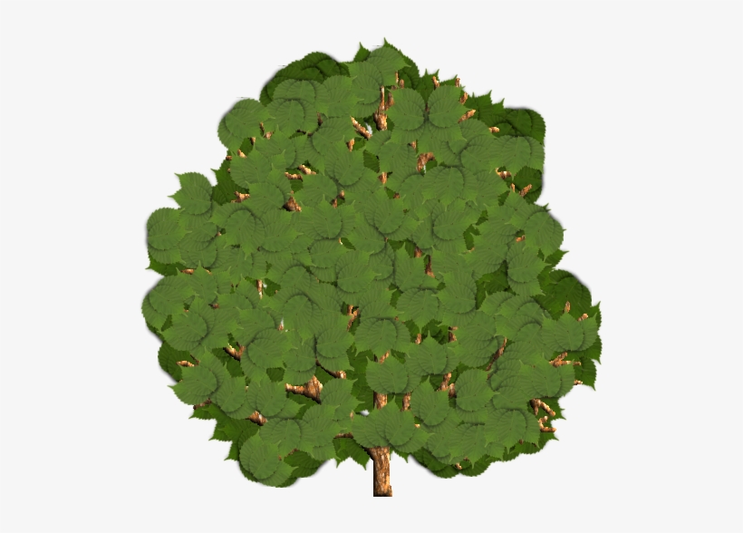 Clip Art Black And White Download Bush Png For Free - Green, transparent png download