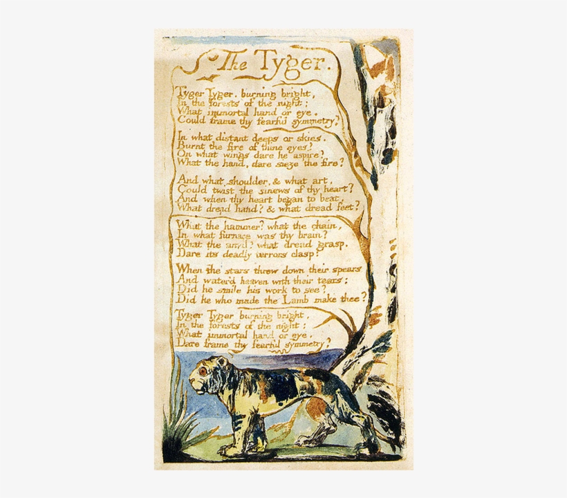 He Lived Almost His Entire Life In That Great City, - Tyger From Songs Of Innocence Rolled Canvas Art - William, transparent png download