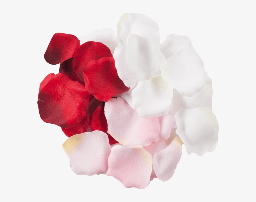 Add A Touch Of Elegance With Delicate Rose Petals Whether - Artificial Flower, transparent png download