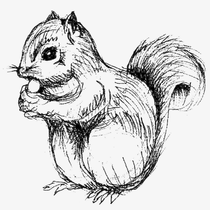 Royalty Free Collection Of Free Chipmunk Download On - Squirrel Drawing Transparent, transparent png download