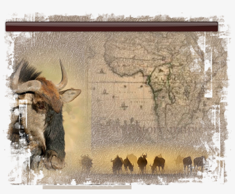 Africa - (1688) - Panoramic Map (16x13.5 Giclee Art, transparent png download
