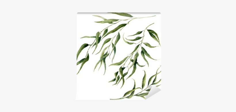 Watercolor Eucalyptus Leaves Branch Set - Eucalyptus Leaves Water Color, transparent png download