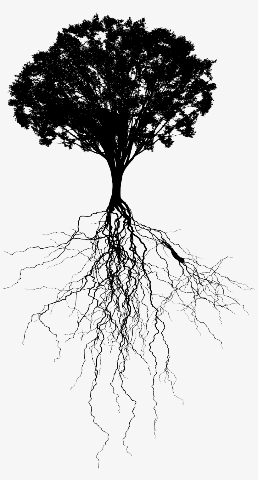 Big Image - Monochrome, transparent png download