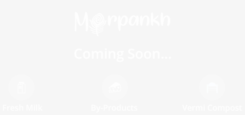 Welcome To Morpankh Website - Nba Finals Logo White, transparent png download