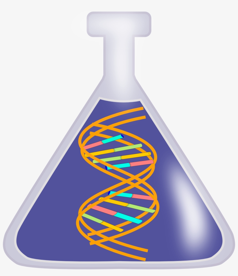 Clipart Info - Dna Clip Art Png, transparent png download