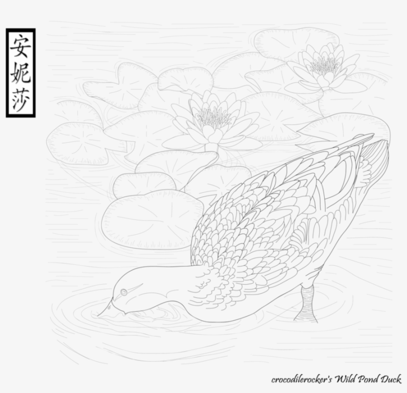 Crocodilerocker - Sketch, transparent png download