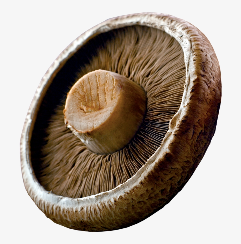 Portabellas Are Large Mushrooms With A Meat-like Texture, transparent png download