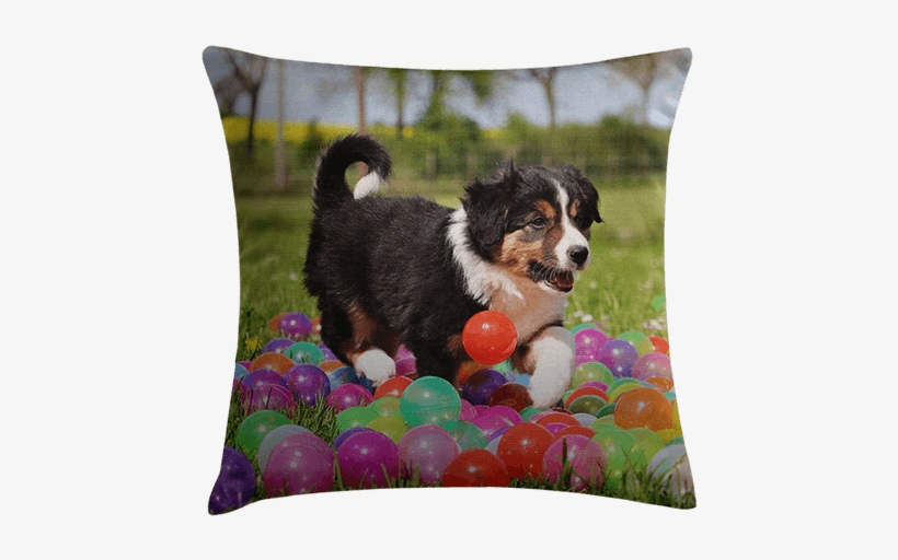 Cuddle Up To Your Favorite Memories With Personalized - Border Collie, transparent png download