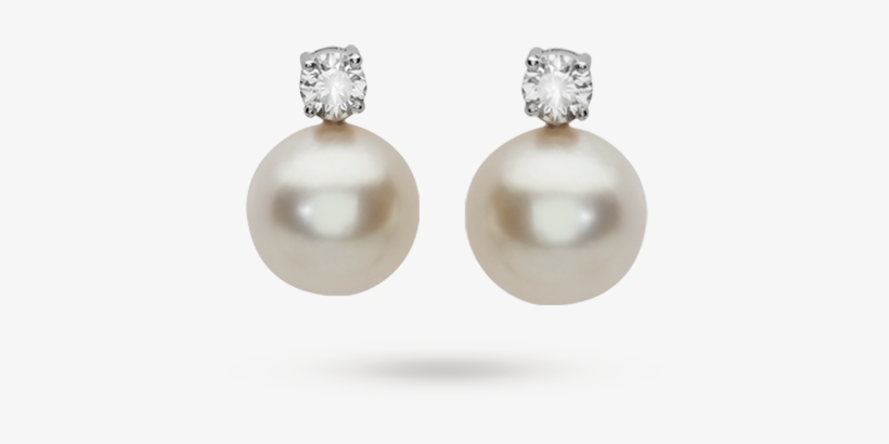 White Gold South Sea Pearl Stud Earrings - Gold Pearl Earrings Png, transparent png download