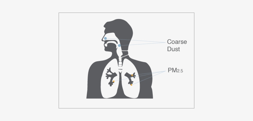 How Can Fine Particles Affect Me - Health Effects Of Air Particulate, transparent png download