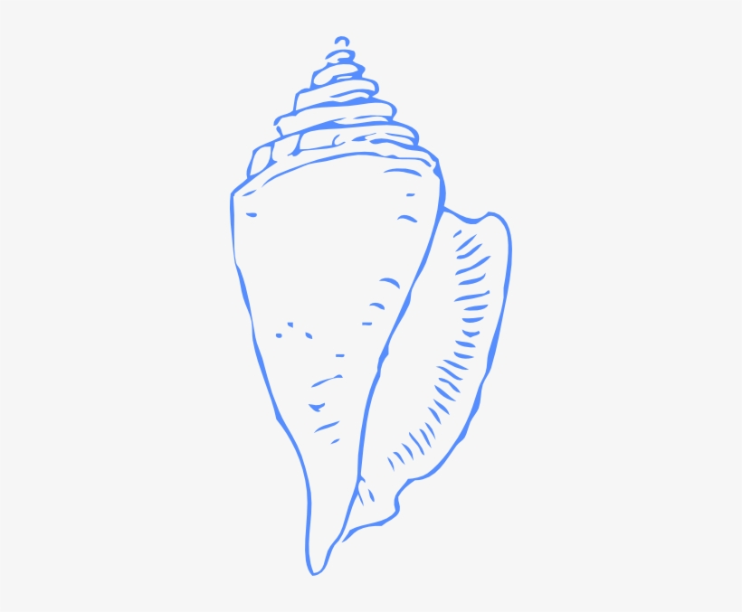 Original Png Clip Art File Seashell Blue Svg Images, transparent png download