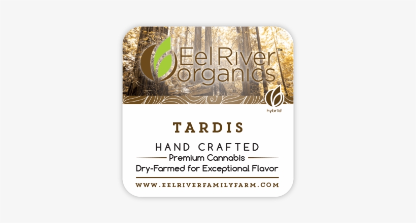 Tardis - Sequoia Dream, transparent png download