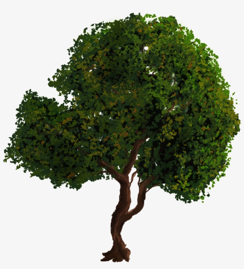 Arvore Pequena Png, transparent png download