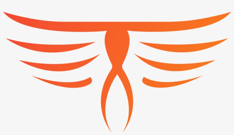 Looking For Organized Rocket League Team For Org, transparent png download