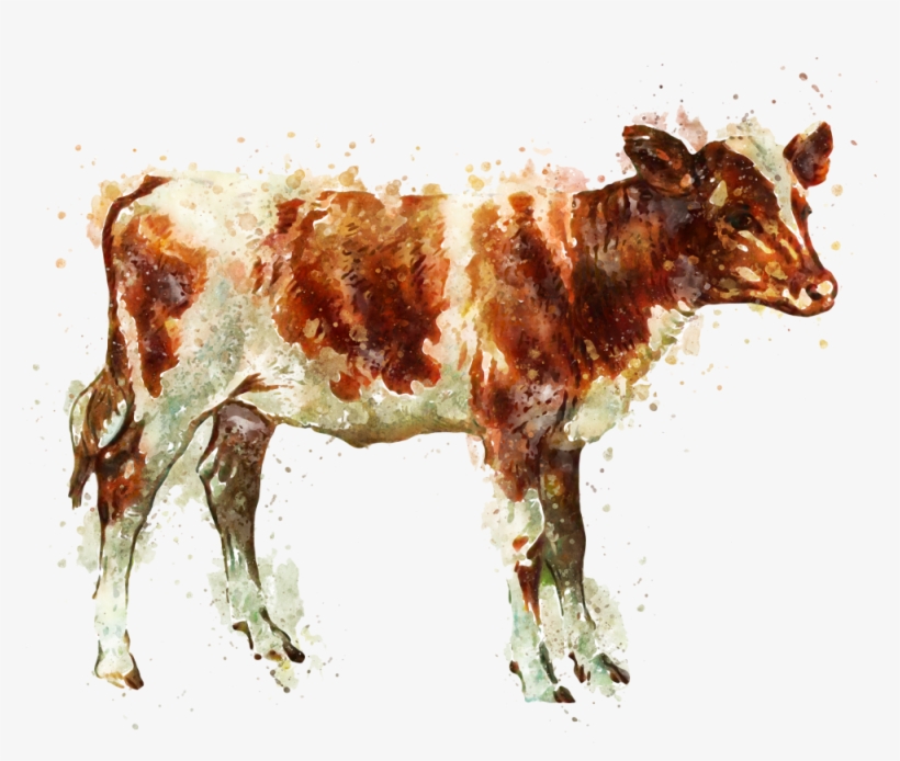 Beef Products - Cooperative, transparent png download