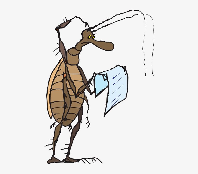 Head, Paper, Reading, Cartoon, Bug, Insect, Scratch - Animal Reading Confused Cartoon, transparent png download