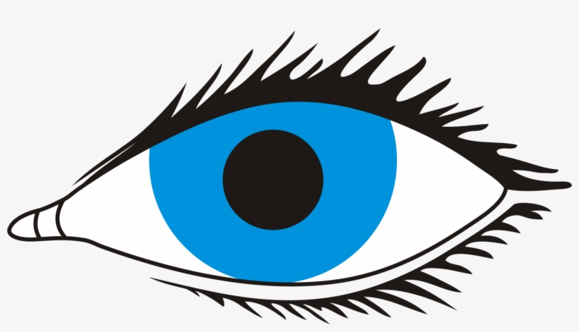 Human Eye Visual Perception Eyelash Iris - Eye With No Background, transparent png download