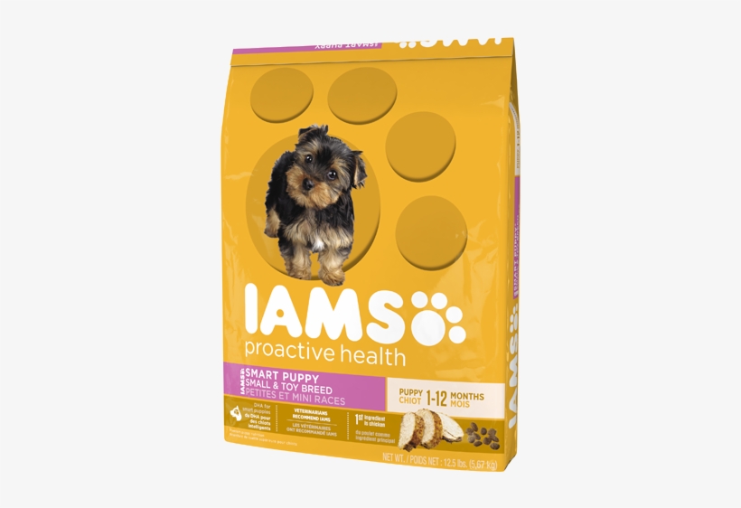 Smart Puppy, transparent png download