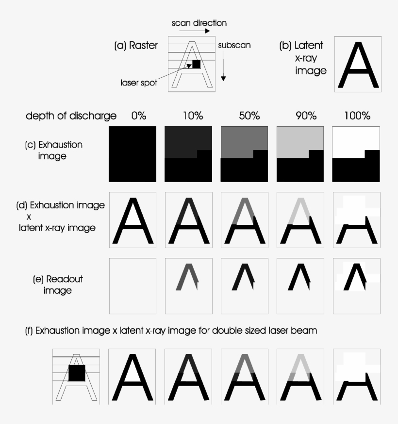 Outline Of The Principle Of Destructive Reading Of - Market, transparent png download