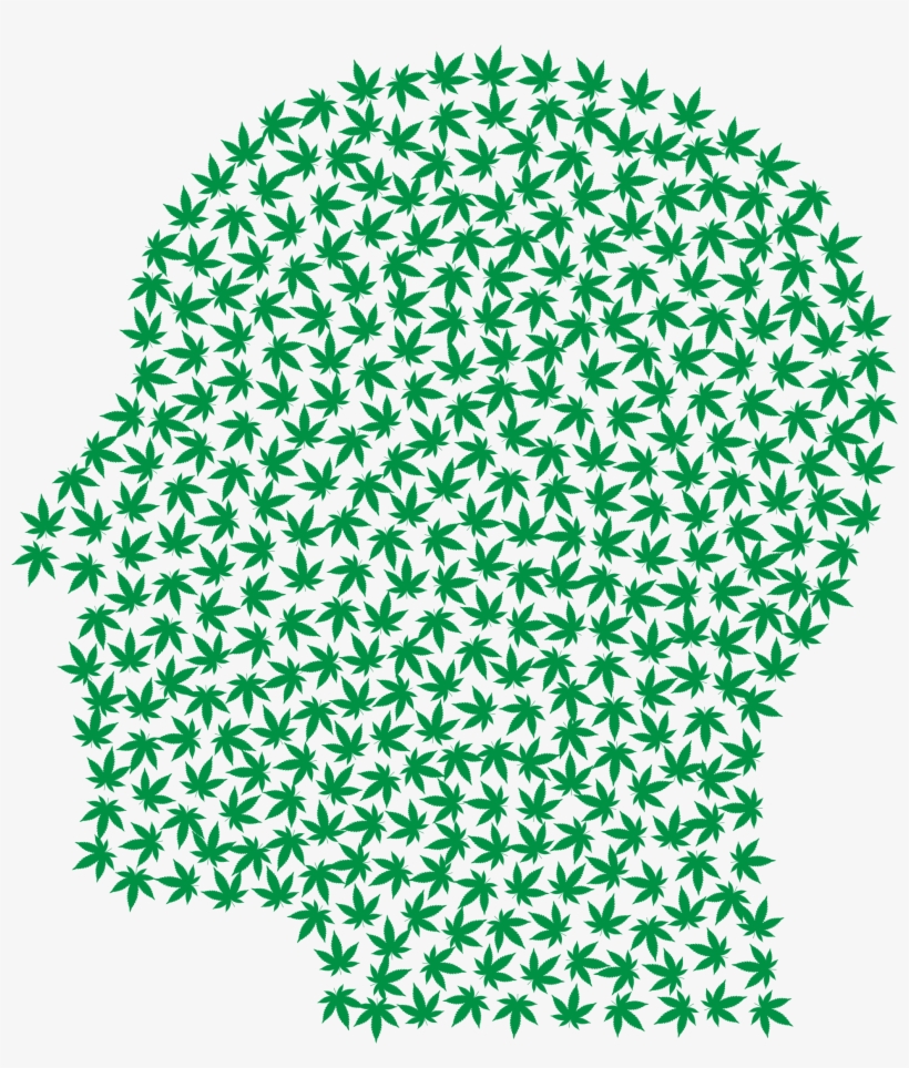 Ami-quebec Action On Mental Illness, transparent png download