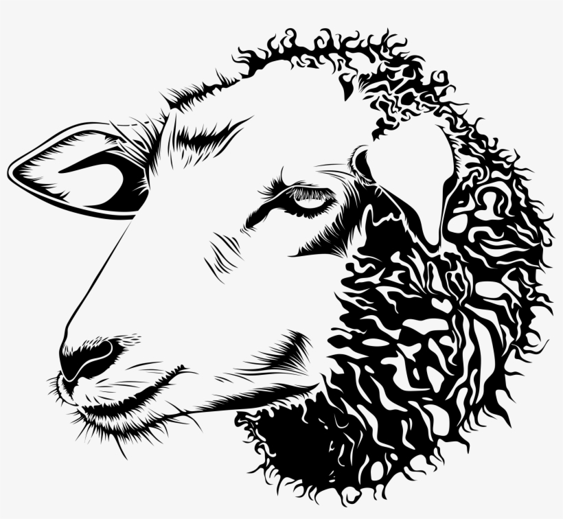 This Free Icons Png Design Of Detailed Sheep Line Art, transparent png download