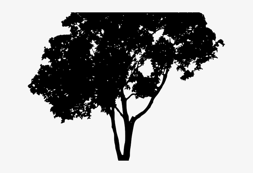 Tree Vector Png - Tree Vector Silhouette Free, transparent png download