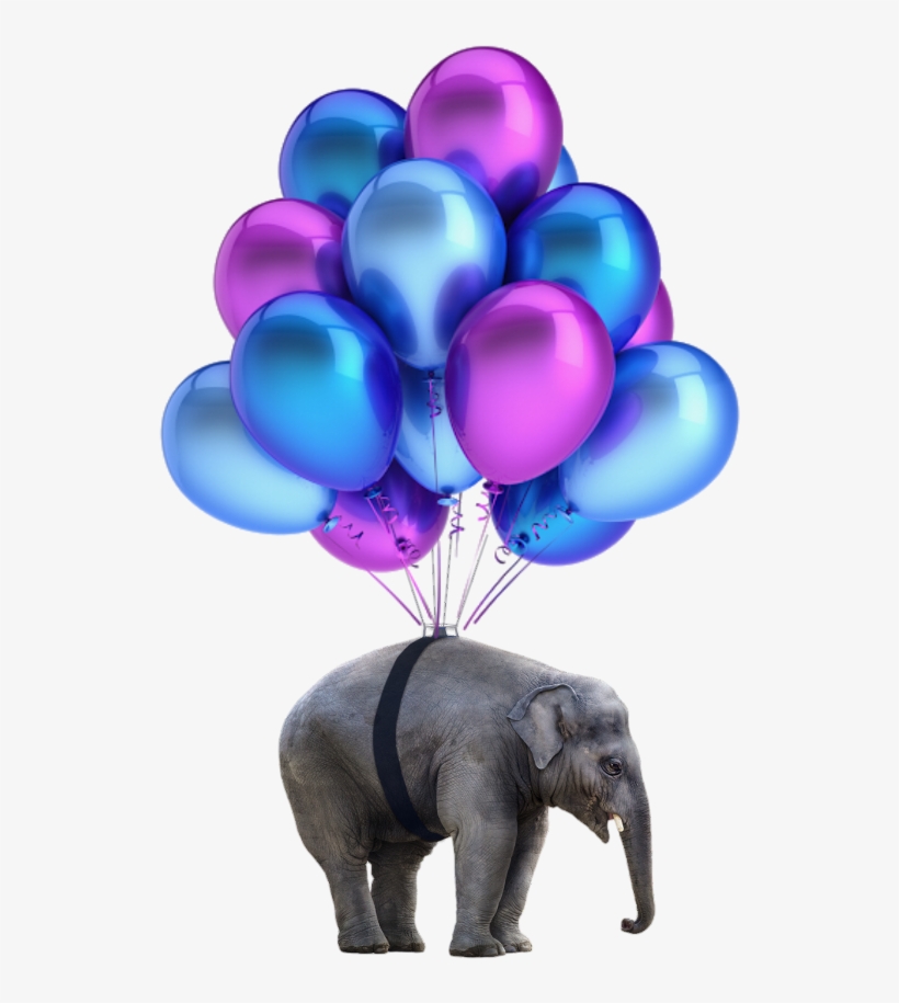 Elephant Png Nobackground Balloons - Balões Roxo Png, transparent png download