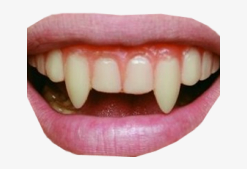 Vampire Teeth Png, transparent png download