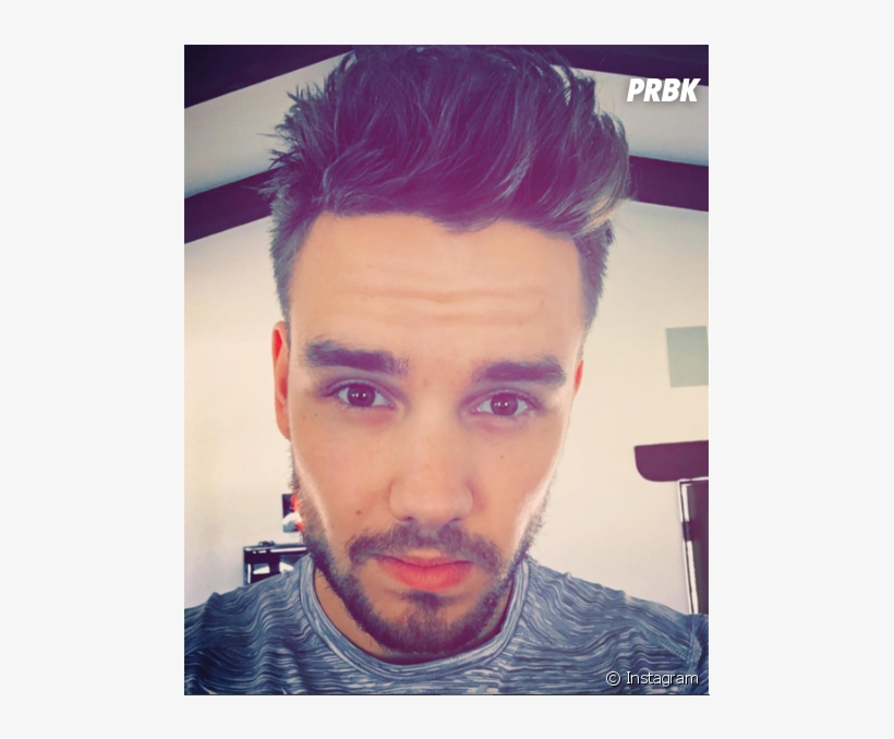 Liam Payne, Do One Direction, Mostra Nova Tatuagem - Liam Payne June 2016, transparent png download